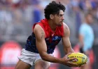 Shane Mcadam Retires After 3 Games For Melbourne