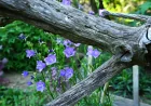 MeinBezirk.at requires login for favorites, comments and posts — Tt News