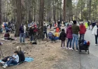 Yosemite National Park Visitor Congestion Surges as 1.8-Mile Roadside Line Forms