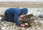 Three Hms Erebus sailors identified through DNA testing