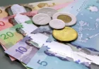 Cpp Payments, OAS deposits set for Wednesday and Thursday next week