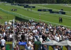 Haydock Horse Racing Cancelled After Tuesday 1pm Inspection Fails