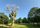Nottingham Forecast Hits 32C on Bank Holiday Monday — Weather Nottingham