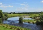 Police search for boy missing after Ribchester River Ribble swim