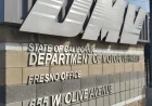 California Dmv Network Outage disrupts licenses, ID cards