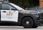 Ontario Provincial Police Taser Arrest in Kingsville Triggers SIU Review