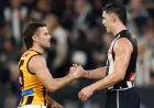 AFL Takes No Further Action on Afl Hawthorn Collingwood Interchange Error