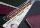 DHS Halts Most Green Card Approvals Under Trump Administration Green Card Rules