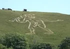 Volunteers use 17 tonnes of chalk at Cerne Abbas