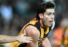 Will Day Returns as Hawthorn Face St Kilda — St Kilda Vs Hawthorn