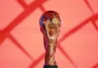 Free Printable World Cup Sweepstake Pack Goes Live for 48 Teams