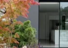 Diarmuid Gavin shows how height lifts small gardens
