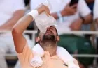Novak Djokovic advances in Rippling French Open win over Royer