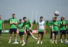 Ireland Vs Qatar: Republic of Ireland Seek Another Aviva Win