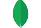 MongoDB Sets Mdb Stock Up for May 28 Earnings