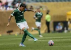 Palmeiras - Junior: Abel Ferreira targets round of 16 in Allianz Parque