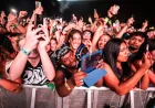 Zara Larsson Leads Lollapalooza Aftershows Across Chicago in 2026