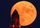 Blue Moon May 2026 Brings Rare Micromoon on May 31