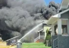 Fire Engulfs Five Homes on Geary Crescent Saskatoon