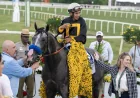Napoleon Solo Preakness Sale Sends Winner to ESPOIR USA, Inc.