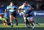 Cardiff Face 32% Odds Against Stormers in Cape Town — Stormers Vs Cardiff Rugby