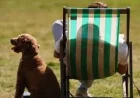 Met Office warns London rain will End Of Uk Heatwave after 35.1C