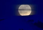 What Is A Blue Moon? May 31 Antares Occultation