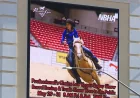 Police Arrest Teen in Las Vegas Horse Stabbing at South Point