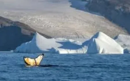 Aurora Expeditions sends Antarctica voyage to 78º 44.405’ south