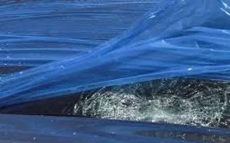 Greene County Hail Damages 29 Republic Police Vehicles