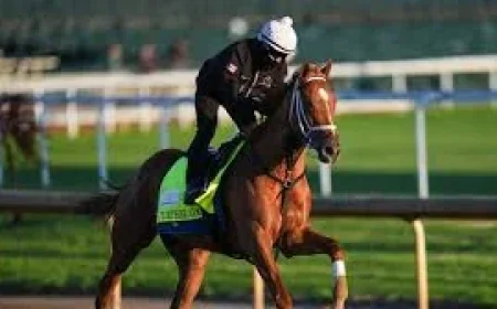 Renegade Draws No. 1 Post as 4-1 Kentucky Derby Favorite