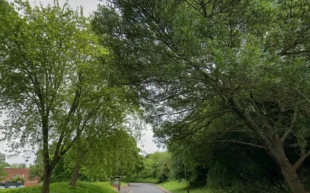 Police update Milton Keynes on Greenleys Lane death, Wolverton arrests