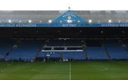 Pedersen Backs Sheffield Wednesday Takeover Before West Brom Match