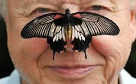 David Attenborough turns 100 as The Guardian asks for memories