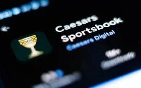 Betmgm cuts 2026 revenue guidance as prediction markets bite