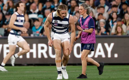 Geelong Vs North Melbourne: Cats Target 15th Straight Win After Port Adelaide Loss