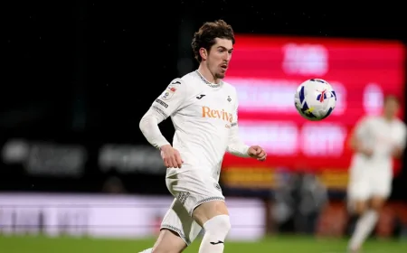 Charlton Seal Safety Before Swansea Vs Charlton Finale