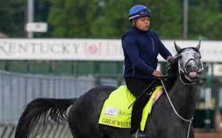 The Puma Horse Scratched as Derby Field Drops to 19