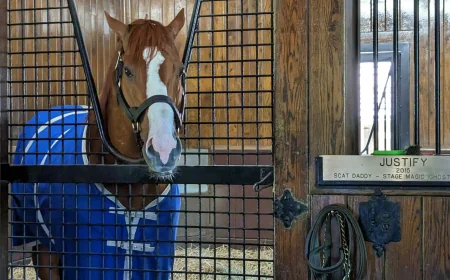 Bill Mott Skips Preakness, Rekindling Triple Crown Winners Debate