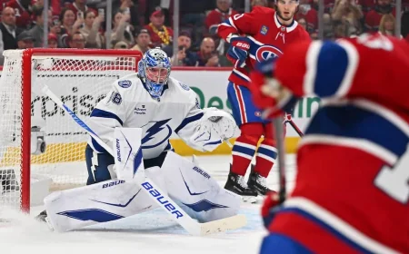 Martin St-Louis Sees 1-0 Loss Tie Ligue Nationale De Hockey Series 3-3