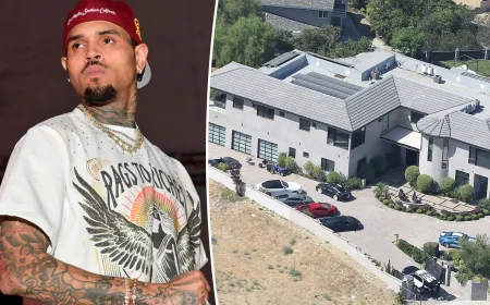 Chris Brown Shooting Near Home Ends With One Suspect Arrested