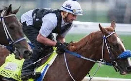 Louisville Ky Weather Forecast Holds Derby Day at 59 Degrees