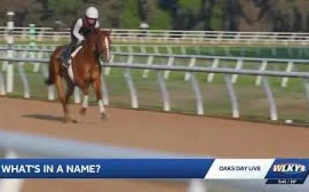 Commandment Tops Derby Horse Names Ranking at No. 1