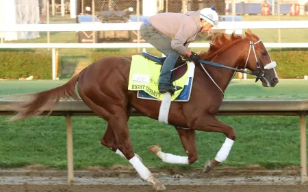 Robusta Horse Replaces Right To Party in Kentucky Derby