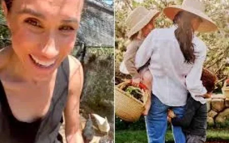 Meghan Markle Instagram Chicken Video Shows Lilibet’s Rare Voice