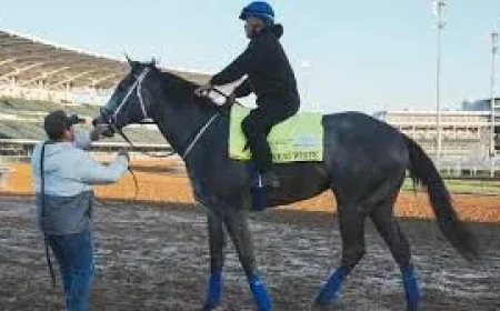 John Ennis Says Great White Kentucky Derby Scratch Followed Flip
