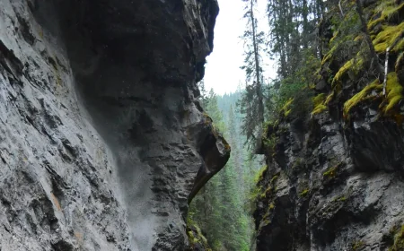 Parks Canada closes Johnston Canyon after suspected drowning
