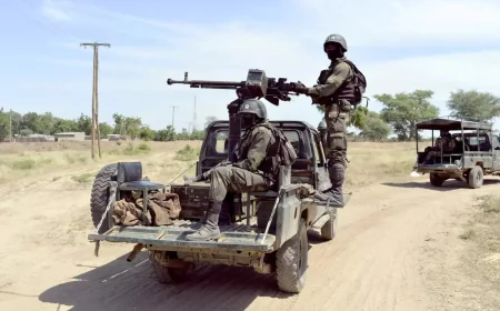 Cameroon Declared War on Separatists After 2017 Protests