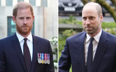 Prince Harry April 16 Remarks Deepen Prince William Rift — Prince William Meghan Harry Information