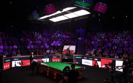 Shaun Murphy Crucible Fan Interruption Stops 23rd-Frame Shot